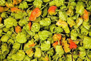 小队大逃杀游戏《SUPERVIVE》宣传片公布 6月27日开测